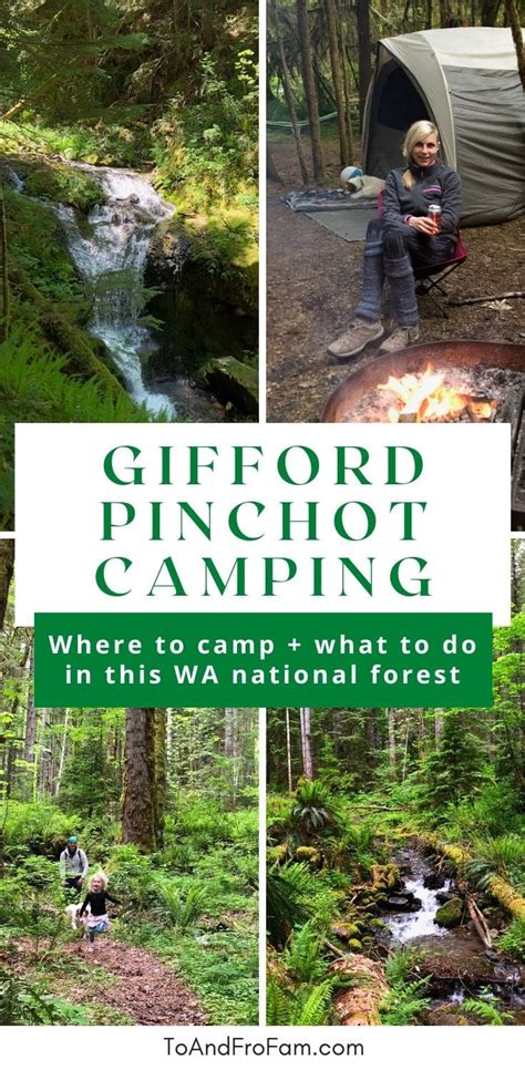 camping gifford pinchot